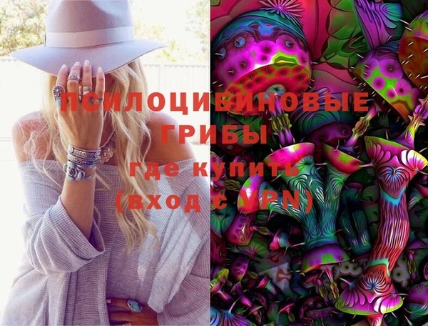 прущая мука Арсеньев