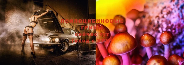 ALPHA-PVP Армянск